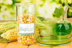 Holnest biofuel availability