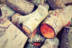 Holnest wood burning boiler costs
